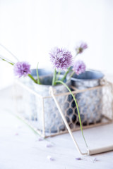 Sticker - Fresh chive blossoms in a vase