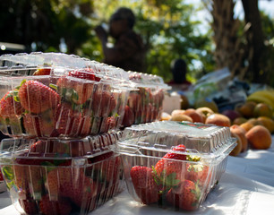 Farmer Strawberries 