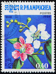 Wall Mural - CAMBODIA - CIRCA 1984: stamp 0.40 Cambodian riel printed by Kingdom of Cambodia, shows flowering plant Plumeria, flora, circa 1984