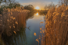 Gennevilliers, France - 03 15 2020: Artificial Lake With Reeds At Sunset