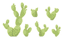 Set Of Large Green Cacti Opuntia. Plant Of America. Vector Illustration