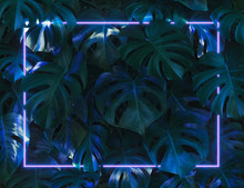 Plant With Blue Neon Light Frame 