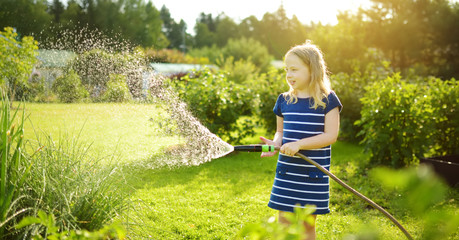 Wall Mural - Cute young girl watering flower beds in the garden at summer day. Child using garden hose on sunny day. Kid helping with everyday chores.