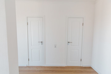 stylish doorknob and door in a design apartment