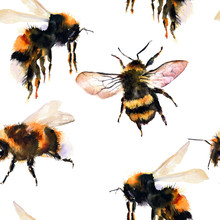 Watercolor Seamless Pattern. Bumblebee/bee, Insects. Watercolor Hand-drawn Elements