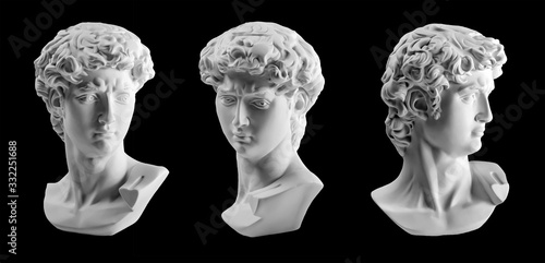 Fotomural Gypsum statue of David's head