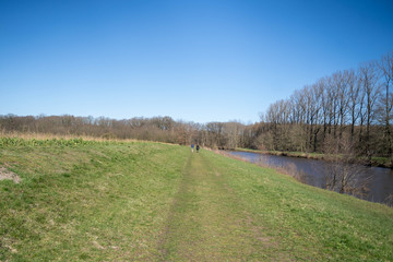 Wall Mural - Feldweg