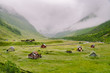 Beautiful landscape and scenery view of Norway, green scenery hills and mountain in a cloudy day. green scenery of hills and mountain partially covered with fog. Farm and cottages on a glacier river