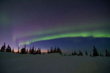 Wall Mural - northern lights aurora borealis in churchill manitoba canada