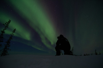 Wall Mural - northern lights aurora borealis in churchill manitoba canada