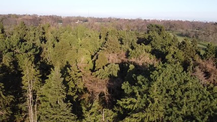 Wall Mural - aerial video clip in phoenix park