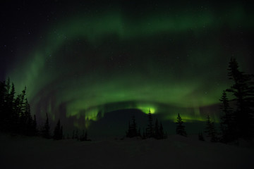 Wall Mural - northern lights aurora borealis in churchill manitoba canada