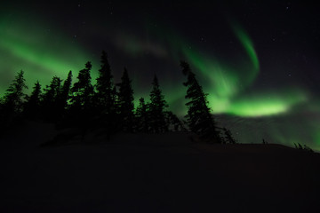 Wall Mural - northern lights aurora borealis in churchill manitoba canada