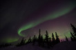 © Wandering Bear - northern lights aurora borealis in churchill manitoba canada