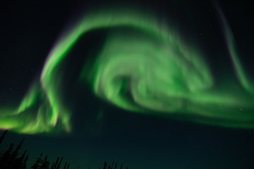 Wall Mural - northern lights in churchill manitoba canada