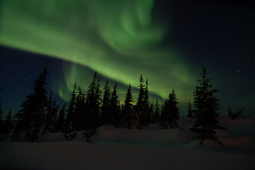 Wall Mural - northern lights aurora borealis in churchill manitoba canada