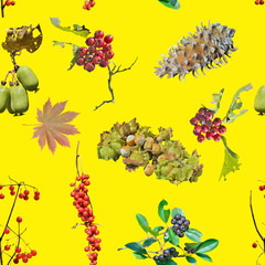 Poster - Wild berries and nuts. Seamless pattern.