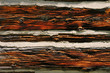Texture and grain of red wood of a historic log cabin with mortar