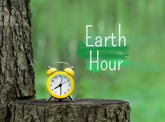 Earth Hour (from 8:30 to 9:30 p.m.). clock alarm in forest. make time for nature, environment concept. Earth Hour, 