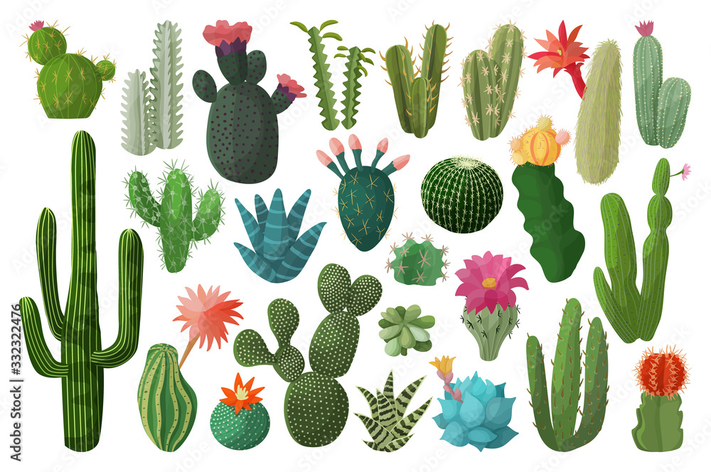 Cartoon Cactus () Cartoon Cactus