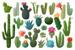 Cactus isolated cartoon set icon. Vector illustration mexican cacti on white background. Vector cartoon set icon cactus with flower.