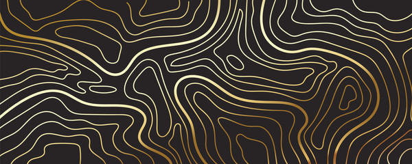 Luxury gold abstract topographic map background with golden lines  texture, 17:9 wallpaper design for fabric , packaging , web, geographic grid map vector illustration.