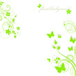 © Irina Fokina - green floral background with leaves