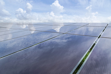 Wall Mural - close up array of thin film solar cells or amorphous silicon solar cells or photovoltaics in solar p