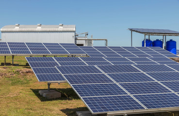 Wall Mural - solar cells in solar power station alternative renewable sources for energy from natural