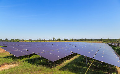 Wall Mural - thin film solar cells or amorphous silicon solar cells or photovoltaics in solar power plant turn up