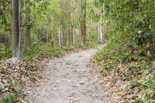 Nature Trail In Namtok Samlan National Park In Saraburi Thailand
