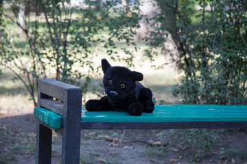 Teddy bear is sitting alone on a wooden bench.