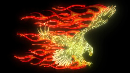 Wall Mural - Flaming Eagle digital laser video animation