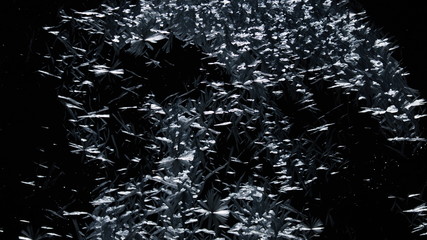 Wall Mural - Real frost on a window. Frostwork pattern ice crystals on black background. Dark surface with abstract ice structure makes to overlay or add a frost effect.