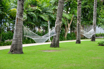 Relaxation area in park with hammock between coconut palm tree.