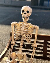 Close Up Of Decorative Skeleton Sitting On A Park Bench - Halloween Decoration