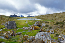 Andean Landscape With Bofedales