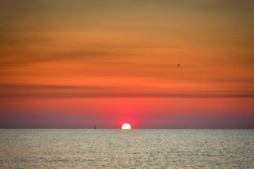 Poster -  The boat is floating against the backdrop of the rising sun. Seascape. Black Sea