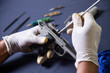 © maxshutter - Gunsmith cleaning gun rifle and pistol assemble dismantle maintenance with brush clean