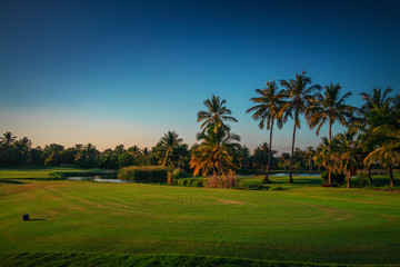 Poster - Golf course in the countryside