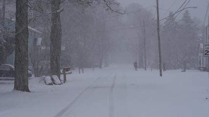 Wall Mural - Street in town in snowstorm