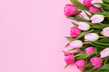 Wall Mural - Bouquet of pink tulips on pink background. Mothers day, Valentines Day, Birthday celebration concept. Copy space, top view