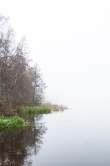 Poster - morning on the lake