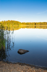 Sticker - lake in forest