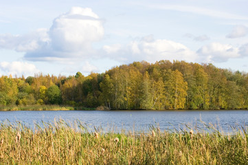 Canvas Print - autumn colors