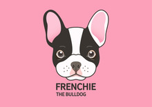Cute Puppy French Bulldog Face On Pink Background. 