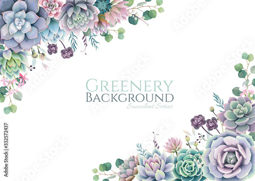 Fotomural Greenery, succulent and branches frame border on white background