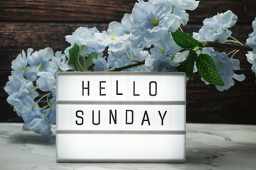 Wall Mural - hello sunday word in light box with flowers decoration