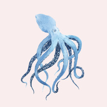 Beautiful Vector Underwater Watercolor Octopus Stock Illustration.
