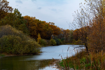 lake in forest